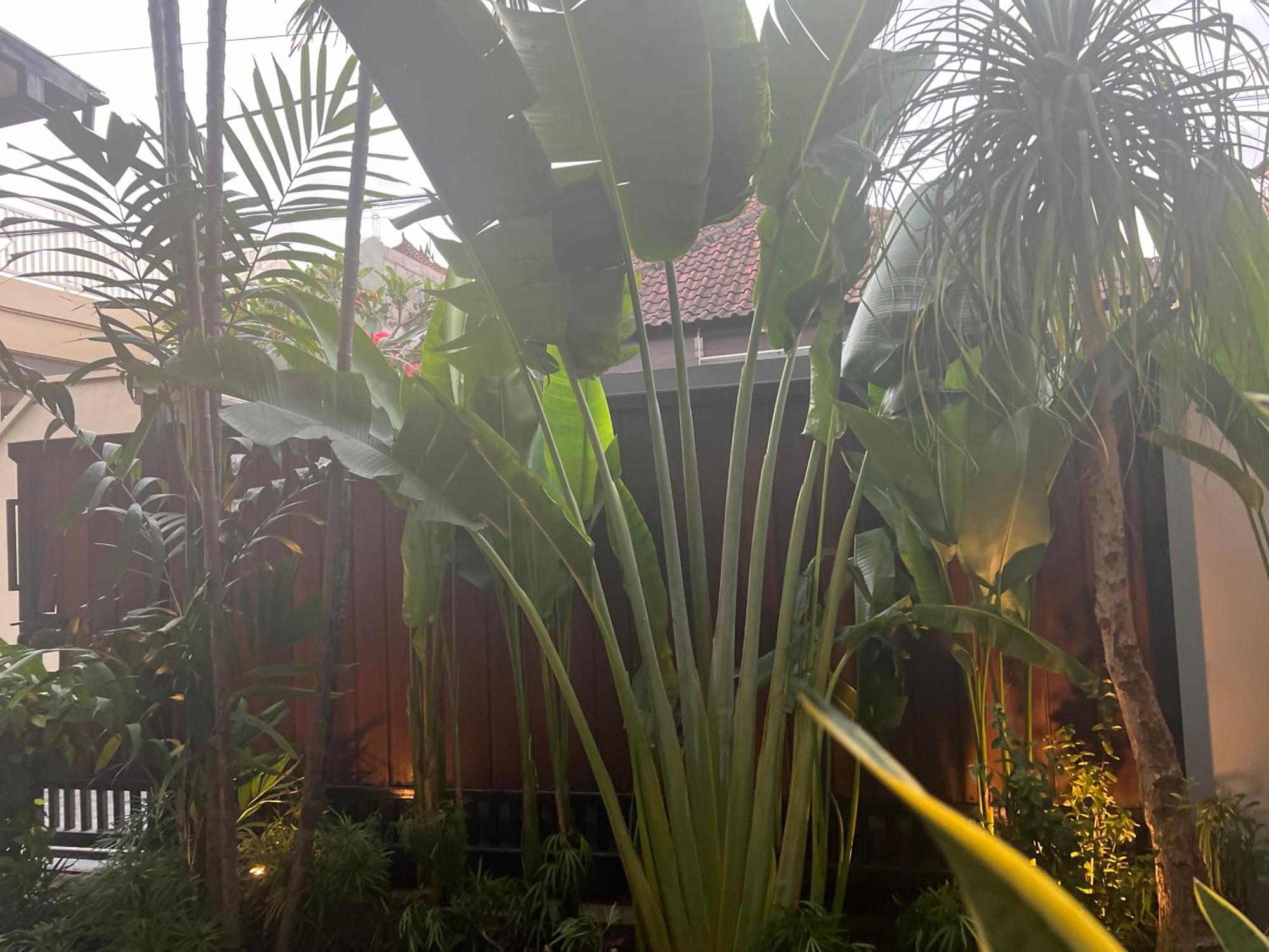 Kerobokan Villa Makmur מראה חיצוני תמונה